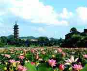 石城天气预报40天