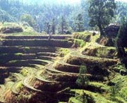 桂东天气预报15天