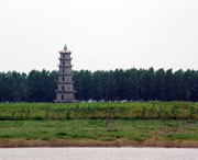 沅江天气预报一周