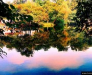 花溪天气预报一周