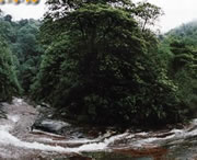 习水天气预报10天