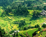 思南天气预报10天