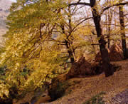 盘县天气预报10天