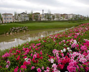 双流天气预报一周