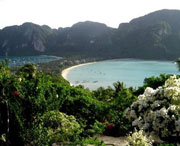 新津天气预报40天