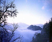 峨边天气预报10天