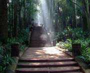 彭山天气预报40天