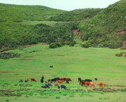 昭觉天气预报一周