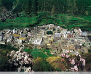 九龙天气预报10天