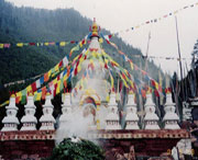 金川天气预报10天