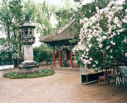 黑水天气预报10天