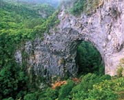 乳源天气预报40天