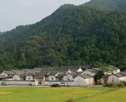 大埔天气预报一周