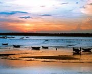 吴川天气预报10天