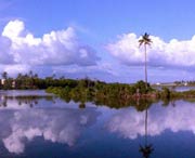 徐闻天气预报一周