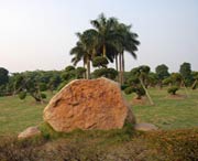 新会天气预报10天