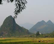 和平天气预报10天