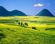 罗平天气预报10天