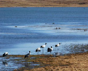 会泽天气预报15天
