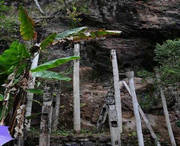 西盟天气预报40天